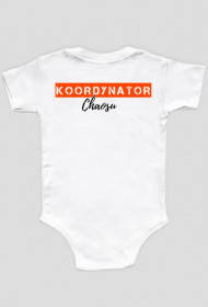 Koordynator Chaosu