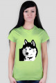 Koszulka Husky