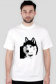 Koszulka Husky