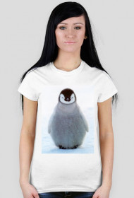 Koszulka pingwin