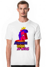 Lego Królowa Wisimi i Powiewa