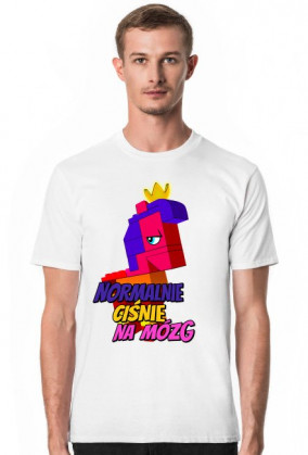 Lego Królowa Wisimi i Powiewa