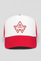 Alan Walker Cap Limited Edition
