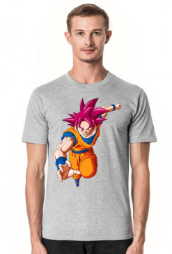 Goku Ssj God