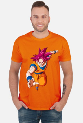 Goku Ssj God