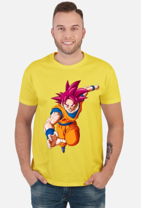Goku Ssj God