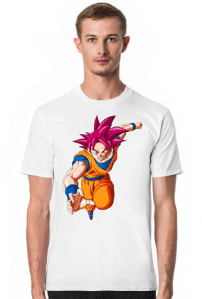 Goku Ssj God