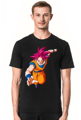 Goku Ssj God