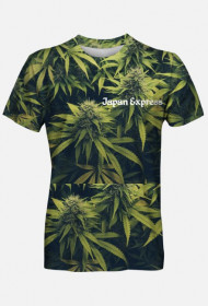 koszulka męska Japan Express