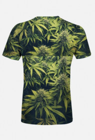 koszulka męska Japan Express