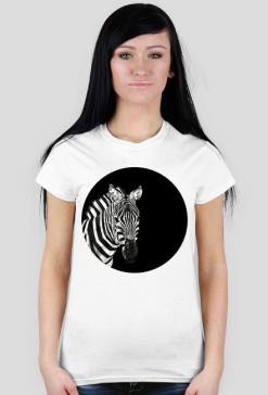 Zebra low poly