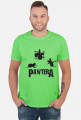 PawterA