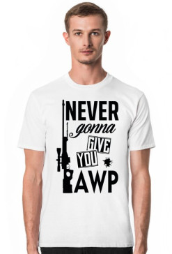 never gonna give you awp