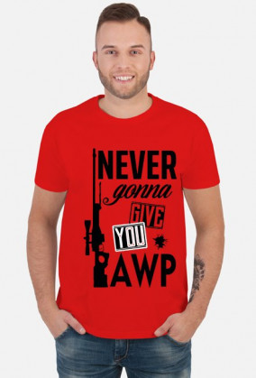 never gonna give you awp