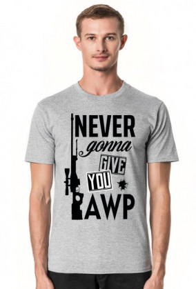 never gonna give you awp