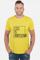 css is awesome