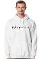 Bluza friends