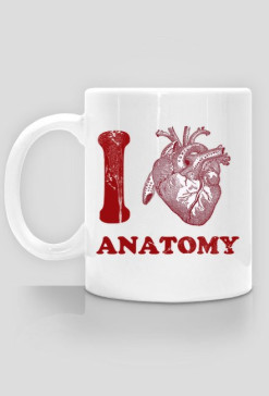 I love anatomy
