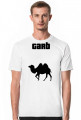 T-shirt garb