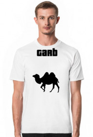 T-shirt garb