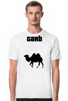 T-shirt garb