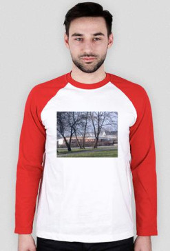 bluza