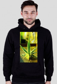 Bluza chasehay czarna THC