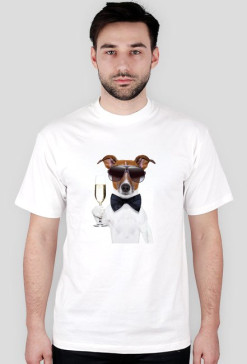 New Year Dog