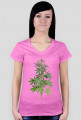 Krzak zioła Damska Weed Marihuana RASTA