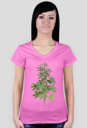 Krzak zioła Damska Weed Marihuana RASTA