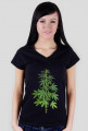 Krzak zioła Damska Weed Marihuana RASTA