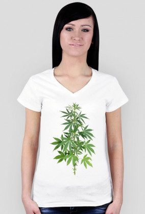 Krzak zioła Damska Weed Marihuana RASTA