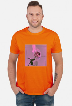 T-shirt aesthetic
