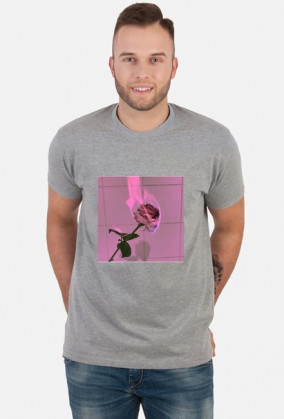 T-shirt aesthetic