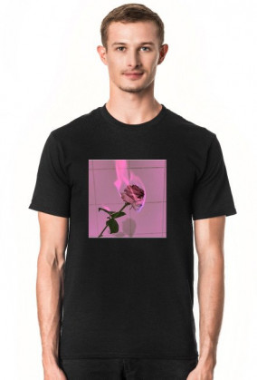 T-shirt aesthetic