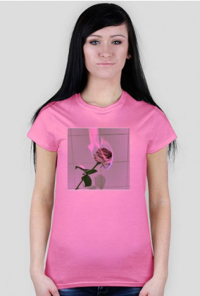 T-shirt aesthetic rose