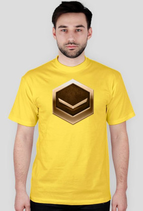 SC2 Bronze