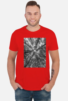 Dead forest