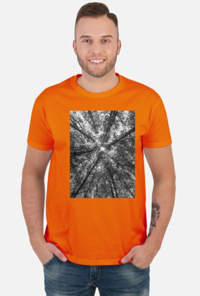 Dead forest