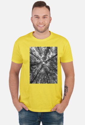Dead forest