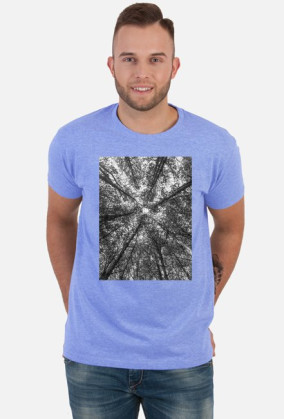 Dead forest