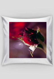 Poduszka Róża