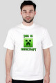 this is minecraft