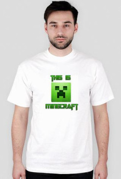 this is minecraft
