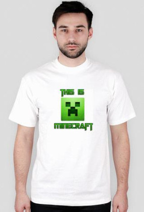 this is minecraft