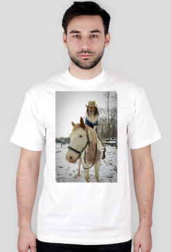 Collie Cowboy