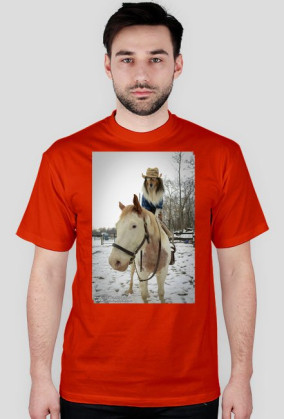 Collie Cowboy
