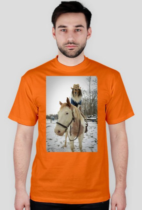 Collie Cowboy