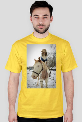 Collie Cowboy