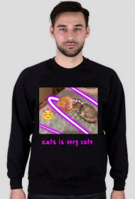 Cats is very cute